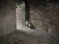 Empty ancient brick wall with leaves, sunlight with shadows, background.