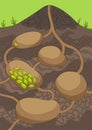 Empty anthill in section under ground. Termite nests with labyrinths. House for forest insects. Hand drawn vector Royalty Free Stock Photo