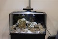 Empty aquarium with stones Royalty Free Stock Photo