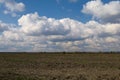 Empty arable land and spring field and blue sky Royalty Free Stock Photo