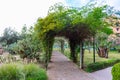 An Arched Trellis Tunnel covered with Vines and Plants at Parc El Harti in Marrakesh Morocco Royalty Free Stock Photo