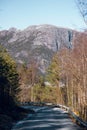 Empty asphalt country road in the forest with mountains with snow peaks on background Royalty Free Stock Photo