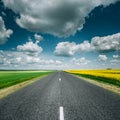 Empty Asphalt Countryside Road Through Fields With Yellow Flowering Canola Rapecolza Canola And Growing Green Wheat Royalty Free Stock Photo
