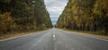 Empty asphalt road along an autumn forest with golden fall foliage, stretching into the distance to the misty mountains Royalty Free Stock Photo