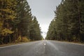 Empty asphalt road along an autumn forest with golden fall foliage, stretching into the distance to the misty mountains Royalty Free Stock Photo