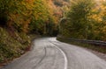 Empty asphalt road through the autumn forest Royalty Free Stock Photo