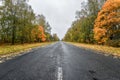 Empty asphalt road through the autumn woods. Autumn scene with road in forest. Royalty Free Stock Photo