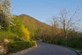 Empty asphalt road with blue sky at the spring Royalty Free Stock Photo