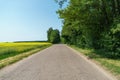 Empty asphalt road close-up against the background of the forest. Empty background, space for text. New asphalt concrete pavement