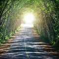 Empty asphalt road with cloudy sky and sunlight. Royalty Free Stock Photo