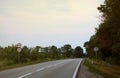 Empty asphalt road and floral field of different grass and flowers in evening time Royalty Free Stock Photo