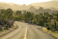 Empty asphalt road leads through the desert full of shrubs and Yucca palm trees. Royalty Free Stock Photo