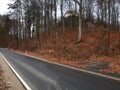 Empty asphalt road in the park in perspective. Behind her, behind the trees on the hill is a house Royalty Free Stock Photo