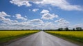 Empty asphalt road between yellow flowering rapeseed field in rural landscape under blue sky with white fluffy clouds Royalty Free Stock Photo