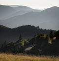 Empty asphalt Route des Cretes road in the Vosges Mountains Royalty Free Stock Photo