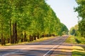 Empty automobile road and green trees