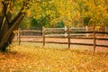 Empty autumn fall park forest with colorful yellow green leaves on trees and wooden fence Royalty Free Stock Photo