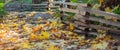 Empty autumn fall park forest with colorful yellow orange leaves on the path and wooden fence. Royalty Free Stock Photo