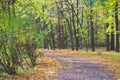 Empty autumn footpath