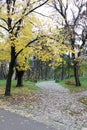 Empty Autumn Park