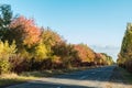 Empty autumn road along golden winter wheat fields Royalty Free Stock Photo