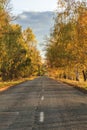 Autumn road along winter wheat fields Royalty Free Stock Photo