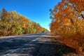 Empty autumn road, highway, with beautiful trees on the sides, against the background of a clear, blue sky Royalty Free Stock Photo