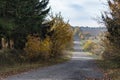 Empty autumn road