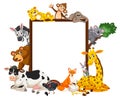 Empty banner with many different wild animals