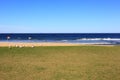 Empty beach and lawn with seagulls Royalty Free Stock Photo