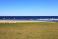 Empty beach and lawn with seagulls