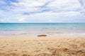 Empty beach with log on the sand