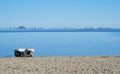 Empty beach of Los Alcazares