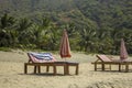 Empty beach loungers with mattresses and folded sunny umbrellas on the white sand against the backdrop of the green palm jungle on Royalty Free Stock Photo