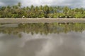 Empty Beach in Matapalo, Costa Rica Royalty Free Stock Photo