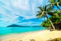 Empty beach with a palm tree on a tropical island. Vacation at the sea.