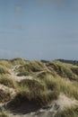 Empty beach sand dunes landscape Royalty Free Stock Photo