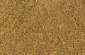 Empty beach sand photo for background. Tropical beach with golden sand. Royalty Free Stock Photo