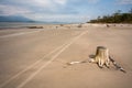 Empty beach with trunks in the sand and weel marks in Brazil Royalty Free Stock Photo