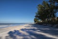 Empty beach with white sand and blue sky