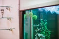 Empty beautiful room in day spa with aquarium and fish Royalty Free Stock Photo