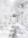 Empty beautiful trail in winter