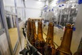 Empty beer bottles, on a conveyor belt, Binding brewery Royalty Free Stock Photo