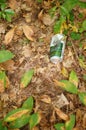 Beer can laying on the ground Royalty Free Stock Photo