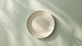 empty beige plate on green pastel paper background top view flat lay Royalty Free Stock Photo