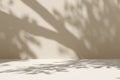 Empty beige stage background with tree and leaf shadows on the wall