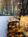 Empty bench in a autumn park Royalty Free Stock Photo