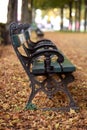 Empty bench in an autumn park Royalty Free Stock Photo