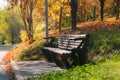 Empty bench in autumn park among orange yellow and green leaves Royalty Free Stock Photo