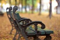 Empty bench in an autumn park Royalty Free Stock Photo